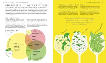 Marnie Old, DK Verlag: Workshop Wein 