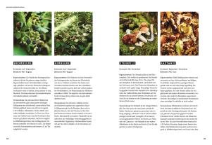 Harald Rüssel, DK Verlag, Anna Schneider: Wild – Wald – Genuss 