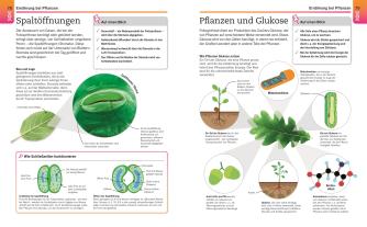 DK Verlag: Visuelles Wissen. Biologie 