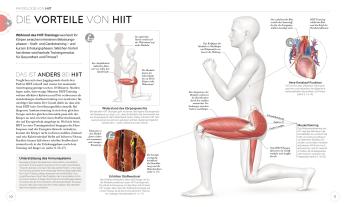 Anke Wellner-Kempf, DK Verlag, Ingrid S. Clay: HIIT - Die Anatomie verstehen 