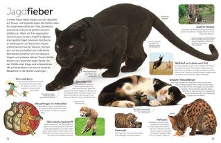 Susanne Schmidt-Wussow, DK Verlag - Kids, Juliet Clutton-Brock: memo Wissen. Katzen 