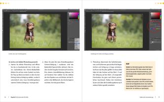 Regine Heuser, Heuser Regine: Hunde-Shooting - Fotografieren mit „Wau-Effekt“ 