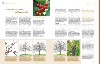 Hansjörg Haas: Das große GU Praxishandbuch Pflanzenschnitt 