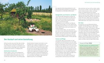 Michael von Lüttwitz, Michael von Lüttwitz: Hühner halten 