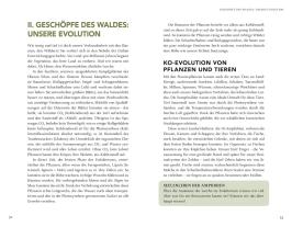 Wolf-Dieter Storl: Wir sind Geschöpfe des Waldes 