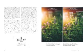 Anna Heupel: Fotografie – Inspired by life 