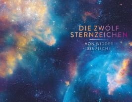 Silke Schäfer: Der kosmische Moment 