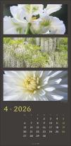 Horst Herzig, Tina Herzig: Die Farben der Natur Kalender 2026 