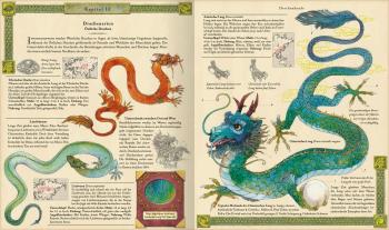 Cornelia Panzacchi, Ernest Drake: Expedition in die geheime Welt der Drachen 
