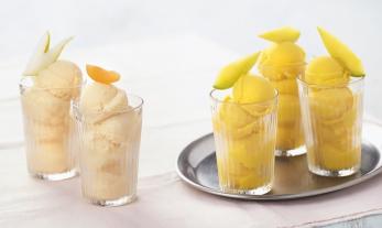 Yüksel Saier: Die Eis-Bibel 