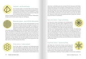 Roswitha Stark: Medizin zum Aufmalen: Heilen mit Zeichen und Symbolen. Das Basisbuch Neue Homöopathie 