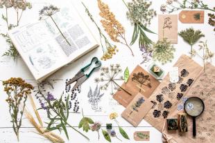 Sylwia Gervais: My Little Green Kitchen 