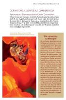 Gertraud Heidinger: Bienenschätze – Honig, Pollen, Propolis & Co. 
