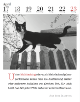 Julia Bachstein: Der literarische Katzenkalender 2023 