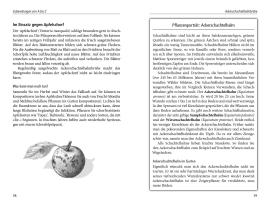 Natalie Faßmann, Karin Bauer: Beinwelljauche, Knoblauchtee & Co. 