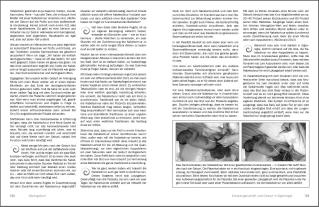Sarah Schmid: Alleingeburt - Schwangerschaft und Geburt in Eigenregie 