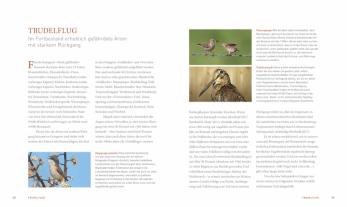 Konrad Wothe, Peter Berthold, Peter Prof. Dr. Berthold: Unsere einzigartige Vogelwelt 