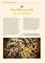 Andreas Heidinger: Mit Bienen die Welt retten 