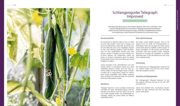 Annette Holländer: Von der grünen Wiese zum Selbstversorgergarten – biologisch gärtnern 