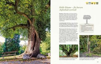 Guntram Stoehr: Bäume an Orten der Kraft 