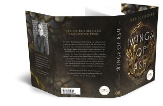 Moon Notes, Jana Schikorra, Moon Notes: Wings of Ash 1. Schlafende Drachen 