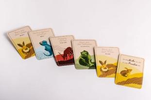 Verena König, Verena Mayer-Kolbinger: Verbinde dich mit dir selbst 