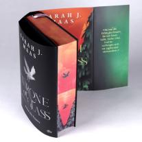 Ilse Layer, Sarah J. Maas: Throne of Glass - Erbin des Feuers 