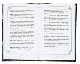 Babsi Schwarz, Meng Xi Shi: Thousand Autumns. Buch 2 