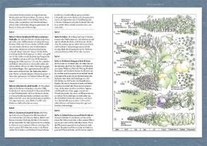 Ortrud Grieb: Wer kann mit wem im Beet? 
