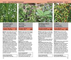 Eva-Maria Dreyer: Essbare Wildkräuter und ihre giftigen Doppelgänger 