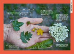 Theresa Ester: Nature Guide Wildpflanzen 