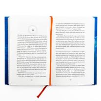 Petra Pellini: Der Bademeister ohne Himmel 