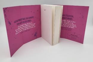 Christina Kagerer, Penelope Douglas: Punk 57 