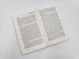 Roberto de Hollanda, pociao, Camilla Way: Das Böse in ihr 