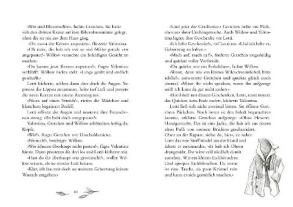 Sabine Bohlmann, Simona Ceccarelli: Ein Mädchen namens Willow 3: Flügelrauschen 