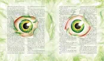 Jim Kay, Klaus Fritz, J.K. Rowling, Joanne K. Rowling: Harry Potter und die Kammer des Schreckens (Schmuckausgabe Harry Potter 2) 