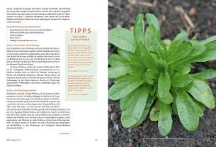 Pro Specie Rara, Verein ARCHE NOAH, Andrea Heistinger: Handbuch Samengärtnerei 