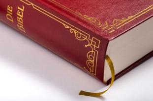 Julius Schnorr von Carolsfeld, Martin Luther: Die Bibel (Geschenkausgabe, Cabra-Leder) 