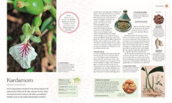 Agnes Pahler, DK Verlag, Dr. Ross Bayton, Ross Bayton, Sonya Patel Ellis, Peter Marren, Michael Scott: Heilpflanzen 