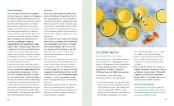 Brita Näser, Sabine Wacker: Basenfasten für die Gelenke 