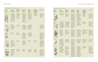 Marie-Luise Kreuter: Der Biogarten 