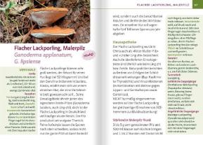 Gerit Fischer: Heimische Heil- und Vitalpilze. Kompakt-Ratgeber 