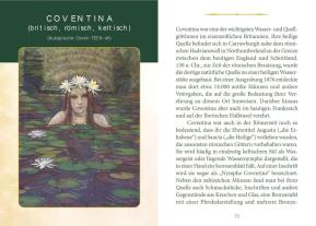 Danu Forest, Dan Goodfellow: Keltische Göttinnen, Hexen und Königinnen Orakel 