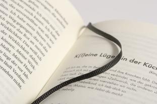 Ulrike Draesner: Die Verwandelten 
