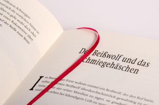 Walter Moers: Das Einhörnchen, das rückwärts leben wollte 