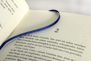 Hannah Häffner: Die Riesinnen 