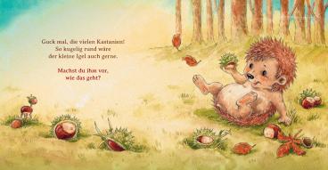 Sophie Schoenwald, Nadine Reitz: Schlaf schön, kleiner Igel 