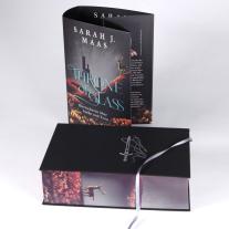 Michaela Link, Sarah J. Maas: Throne of Glass – Herrscherin über Asche und Zorn 