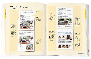Inge Schöps: Yoga - Das große Praxisbuch für Einsteiger & Fortgeschrittene 