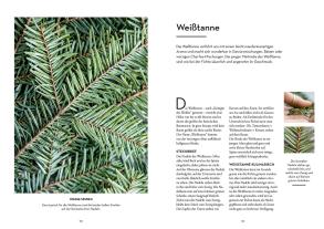 Victoria Lorenz: Tasty Trees 